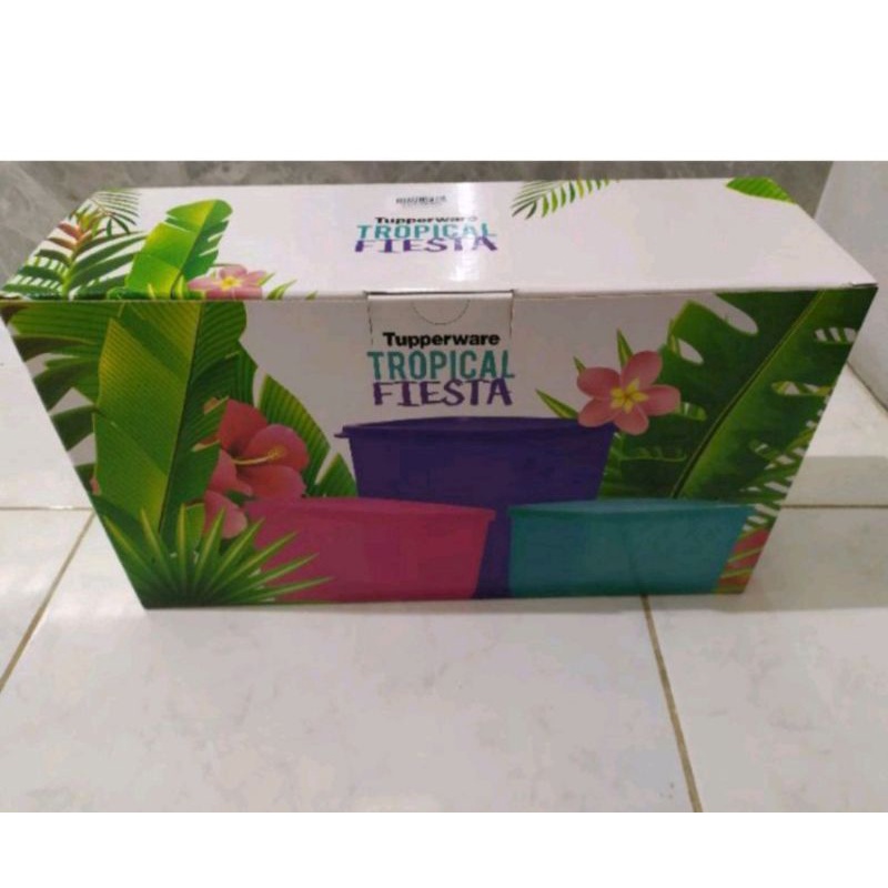 

Dus tropical fiesta
