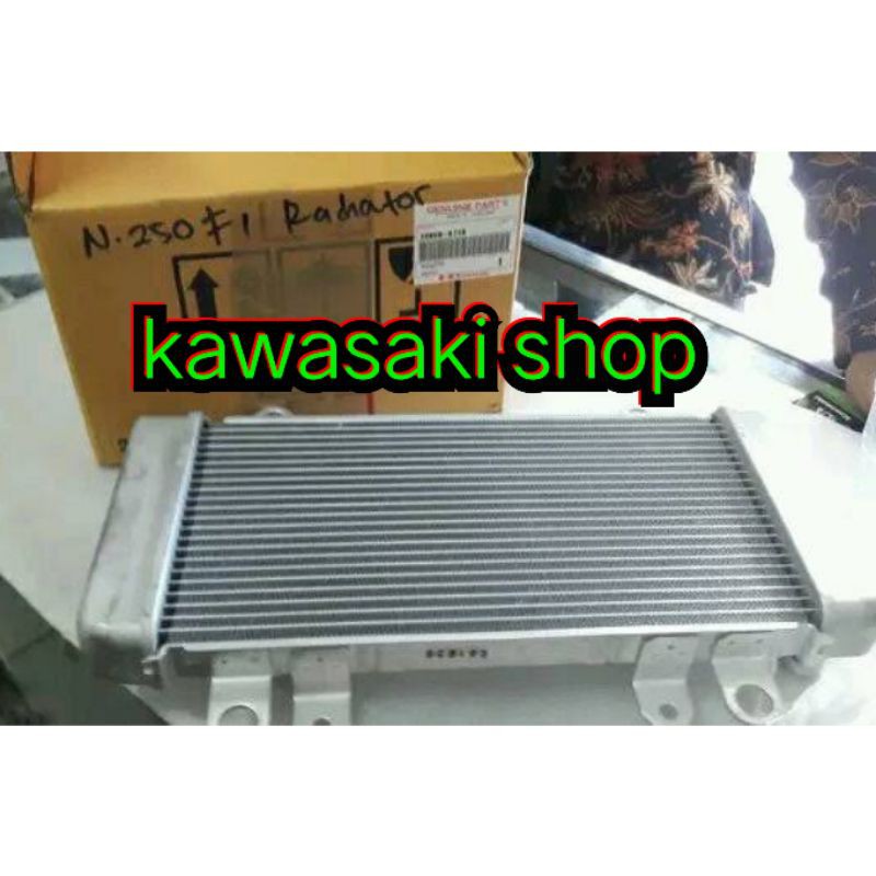 radiator assy ninja 250 fi ninja z250 fi original kawasaki
