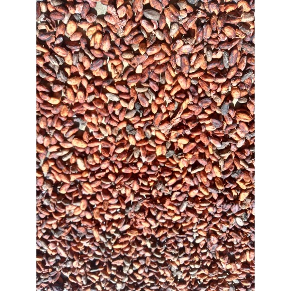 

buah kakao kering 500g Rp25.000