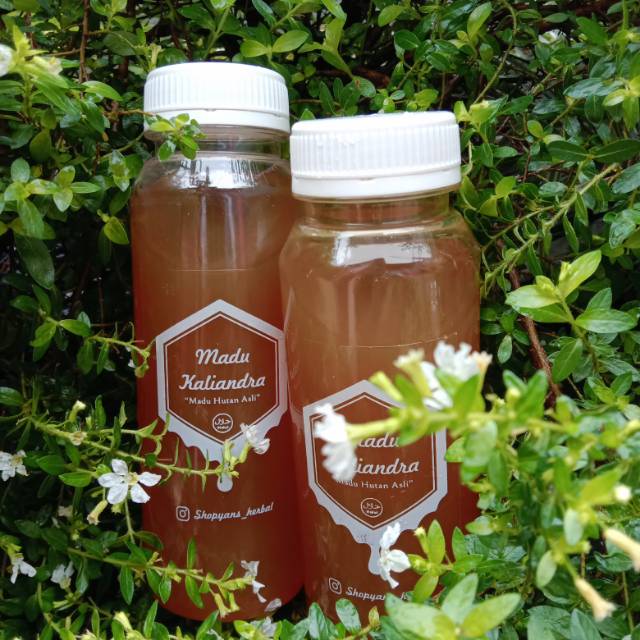 

Madu murni kaliandra raw honey 330gr