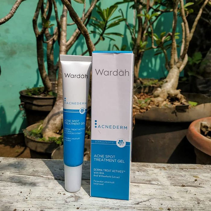 Wardah Acnederm spot treatment gel/obat jerawat