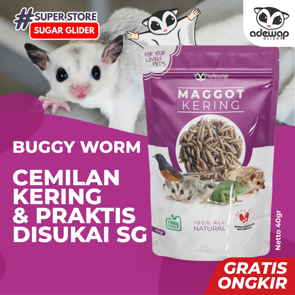ADEWAP GLIDER Maggot Kering Camilan Serangga Sugar Glider