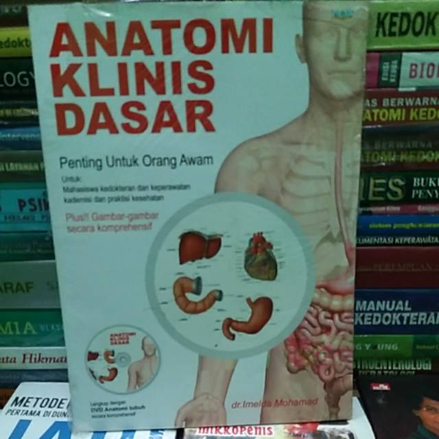 ANATOMI KLINIS DASAR