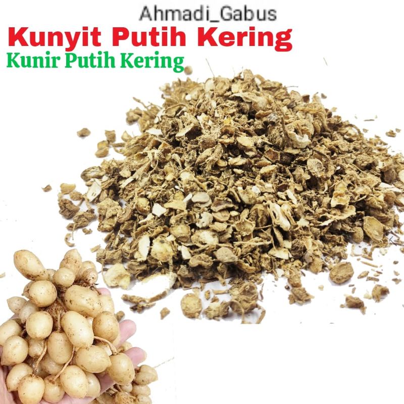 

Kunyit Putih Kering 1 kg, Kunit Putih Kering 1 kg-temu putih kering 1 kg