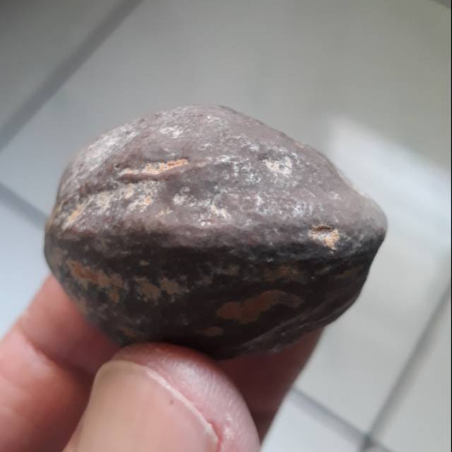 Muncang Adu Mantili Ori