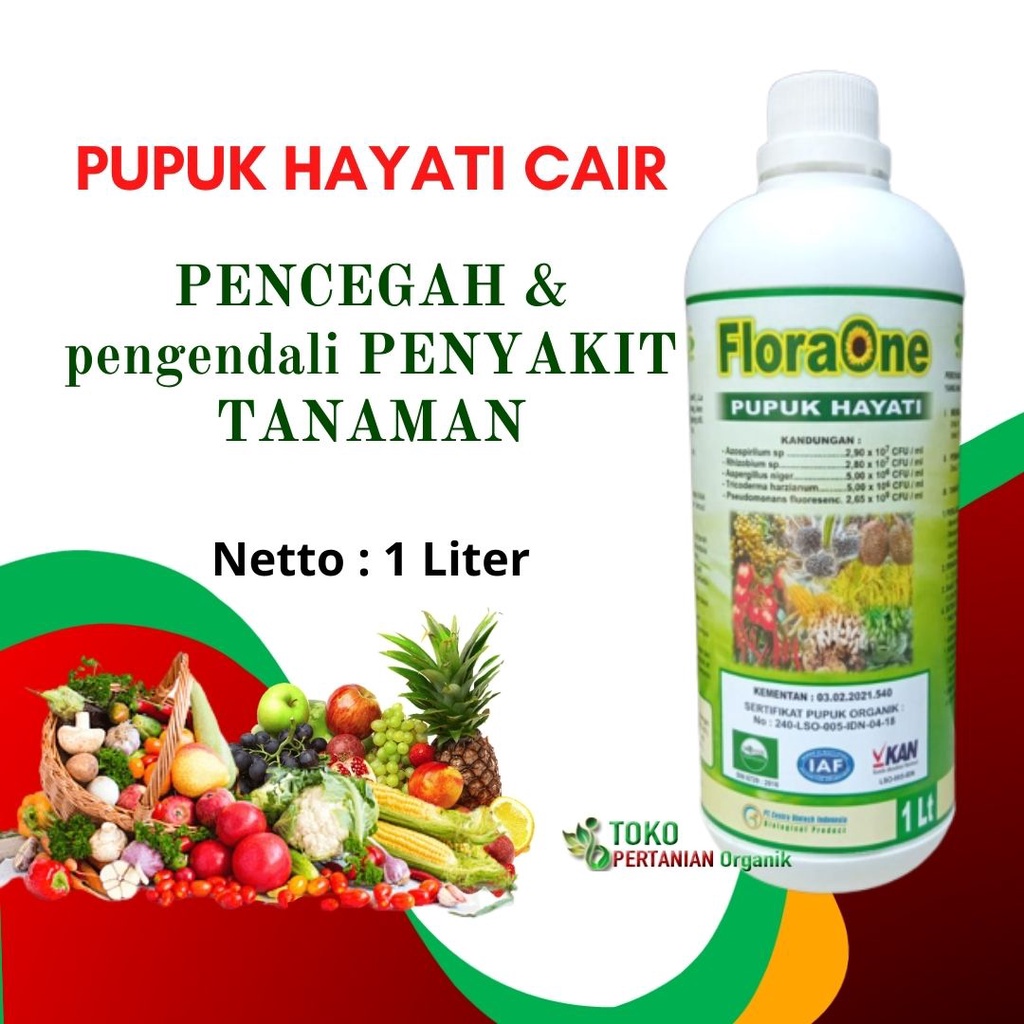 Pupuk Hayati Cair fungisida anti layu fusarium, Tricoderma Harzianum untuk padi bunting musim hujan