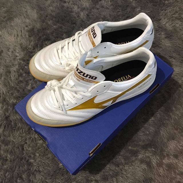 Mizuno morelia