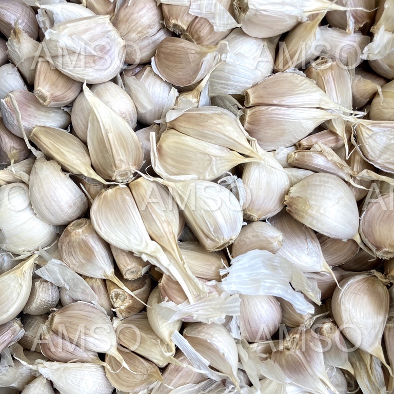 Bawang Putih Kating 1 KG MURAH (GROSIR)