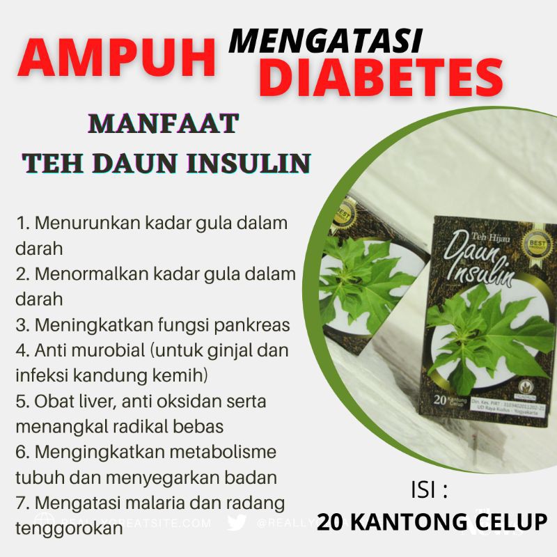 

Teh Daun Insulin Celup - Obat Diabetes