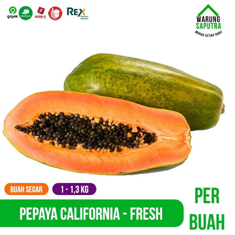 

Buah Pepaya California Segar Bandung per Buah