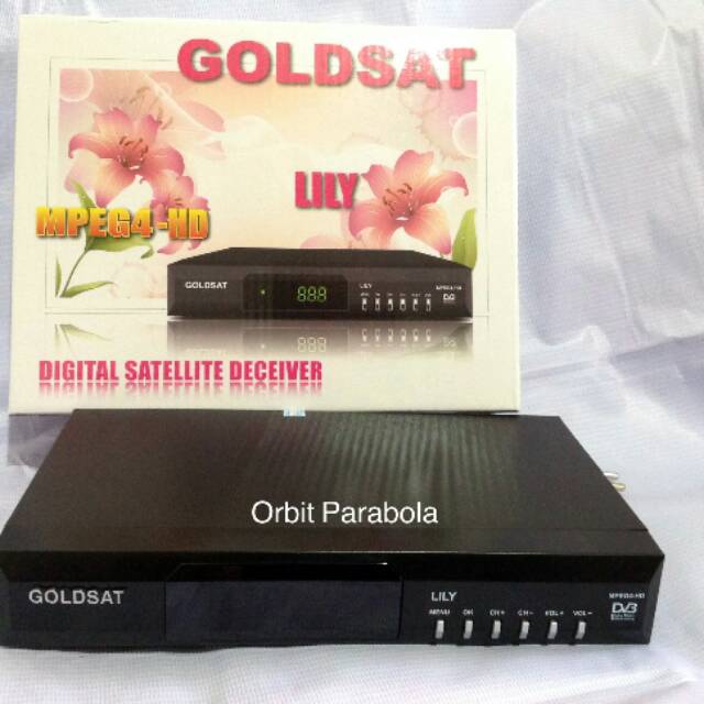Receiver Goldsat Lily