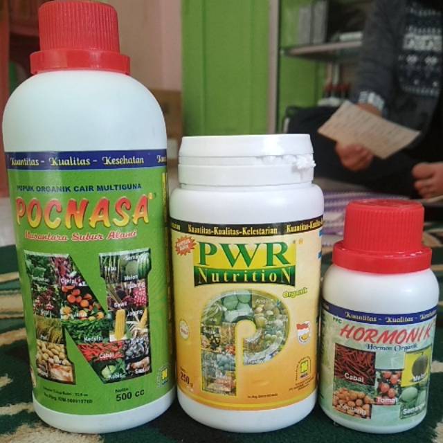 Pupuk pelebat buah NASA