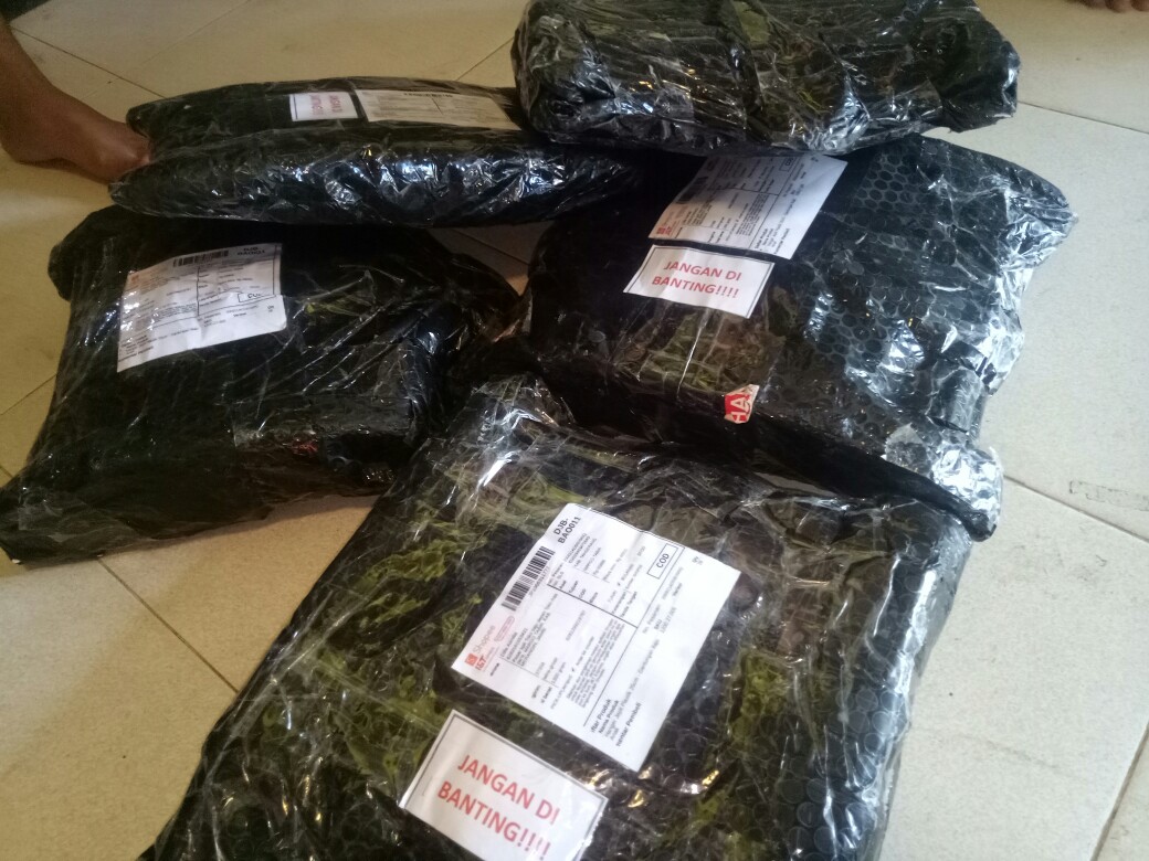 Hanger Jepit  Gantungan Baju Anak 25cm Bahan Plastik