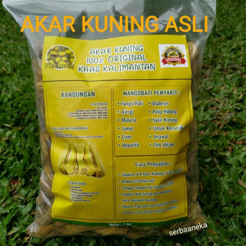 

Akar Kuning 1KG Asli Kalimantan TERMURAH (PALSU UANG KEMBALI)