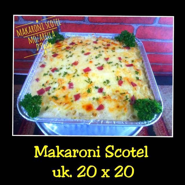 

MAKARONI SCOTEL UKURAN 20 x 20