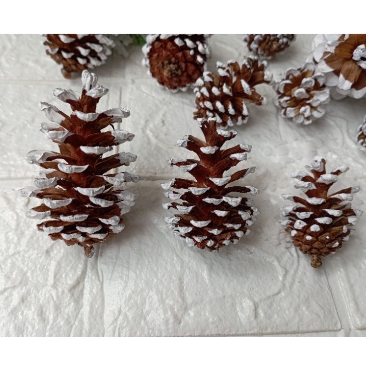 1 Pcs Buah Pinus Salju Tali atau Vernis Sedang Murah Hiasan Natal Christmas Assesories Decoration Proferty Photo Booth Dekorasi