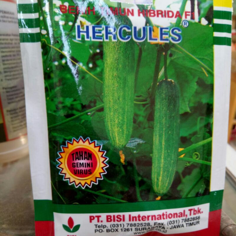 Timun Hercules Hibrida F1