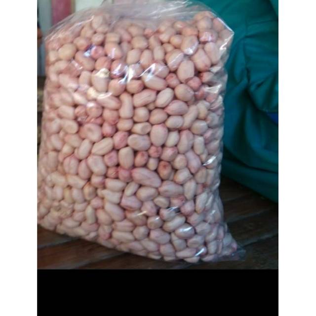 

Kacang Tanah Kupas