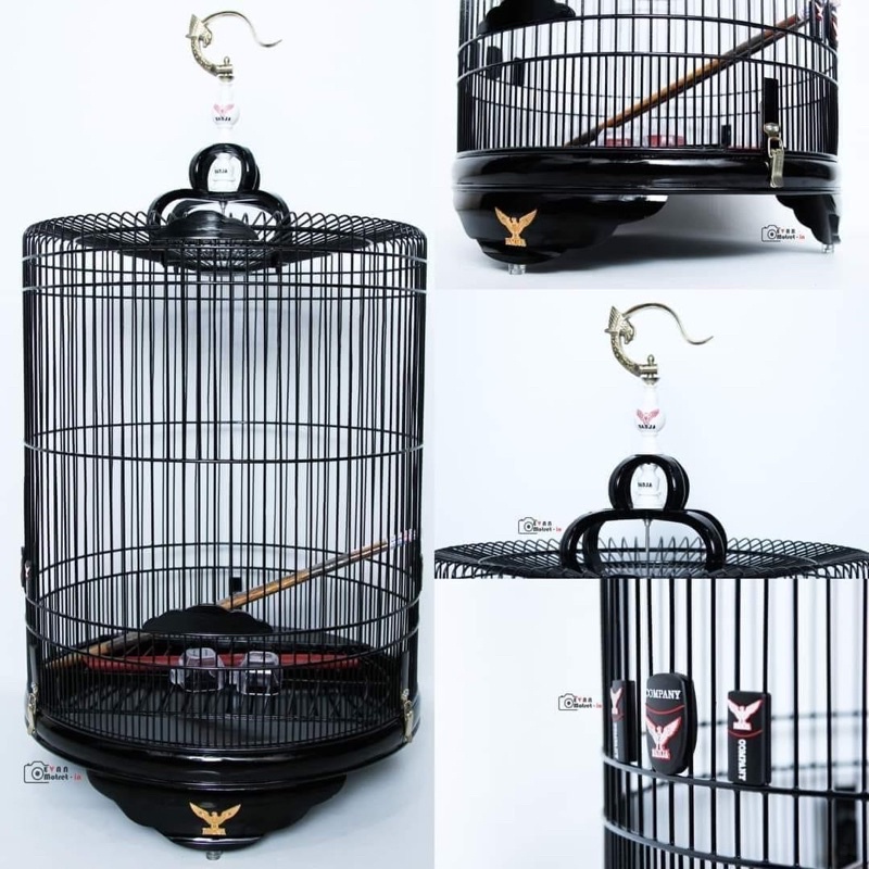 SANGKAR KANDANG MURAI RADJA BLACK JACK NO 2