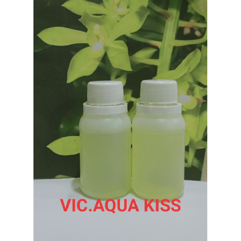 BIBIT PARFUM MURNI 100ML V.AQUA KISS FROM VICTORIA SCREET