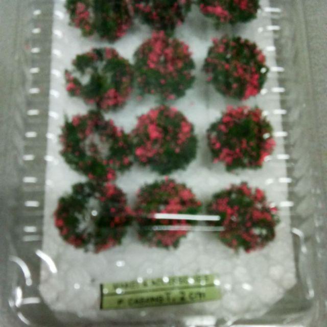 Pohon Bulat Isi 20 - Bahan Maket