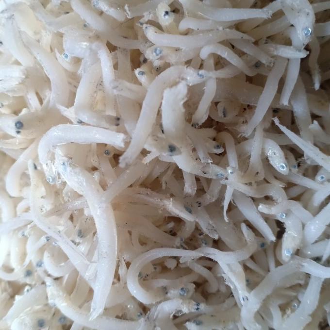 

teri Medan super per 500gram