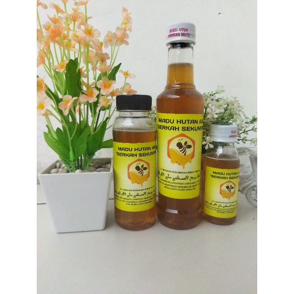 

Madu Hutan Asli