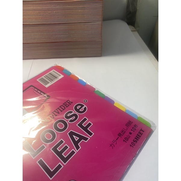 

Pembatas Buku Binder Plastik 10 Sheets