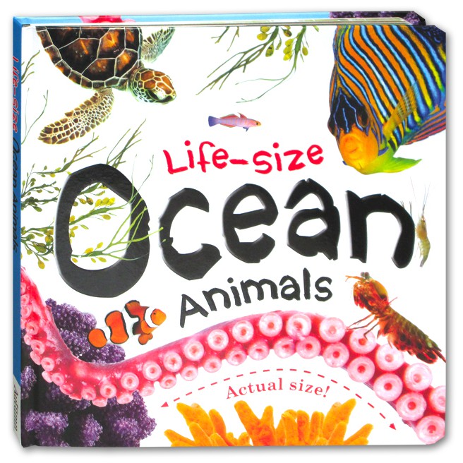

Life-Size Ocean Animals Board Book (Actual Size!)