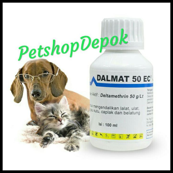 Dalmat 100Ml/ Obat Kutu Dalmat 50Ml