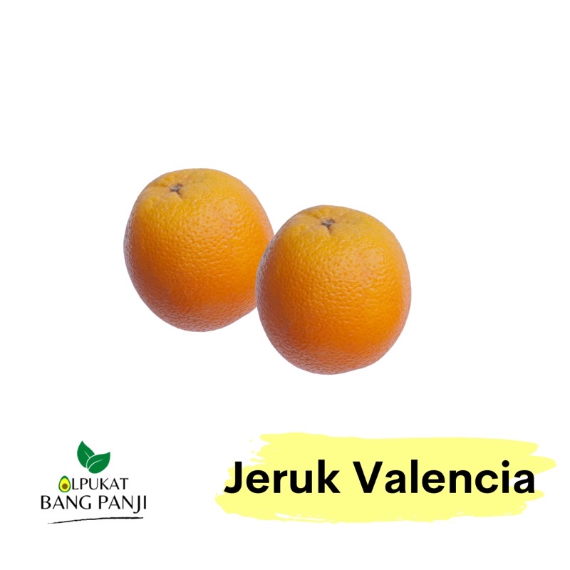 

ALPUKAT BANG PANJI - Jeruk valencia 1kg