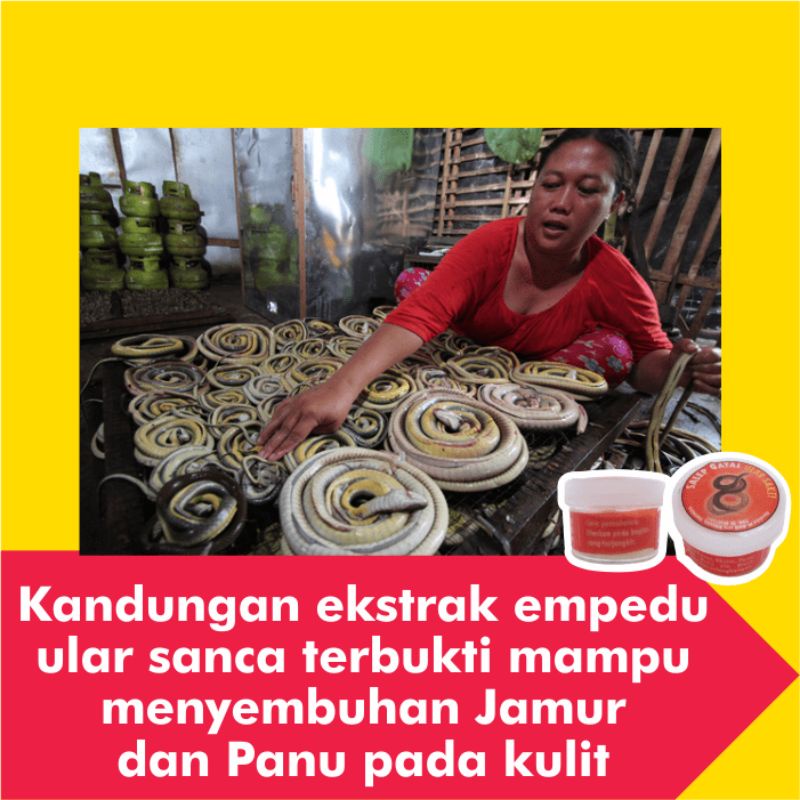 Obat Salep Panu Paling Ampuh Gatal Kulit Kurap Kutu Air Jamur Selangkangan Gatel Eksim Jerawat Kudis-6