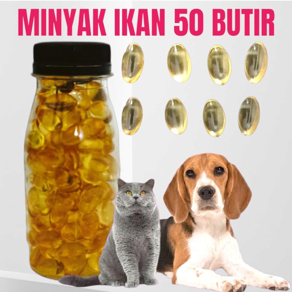 fish oil 100 butir MINYAK IKAN KUCING/ANJING/MUSANG/HAMSTER/KELINCI