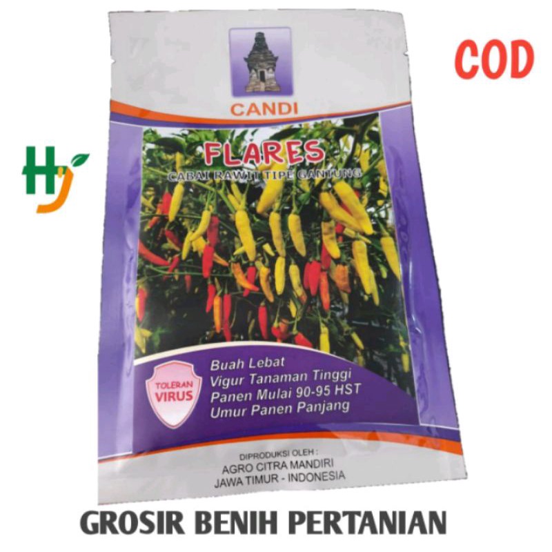 Benih Cabe Rawit Flares dari Candi Viral Tidar Bibit Cabe Rawit Flares Candi Tidar Viral isi 10 Gram
