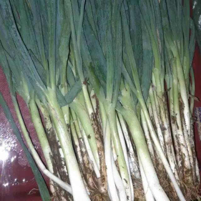 

Daun bawang 500gr