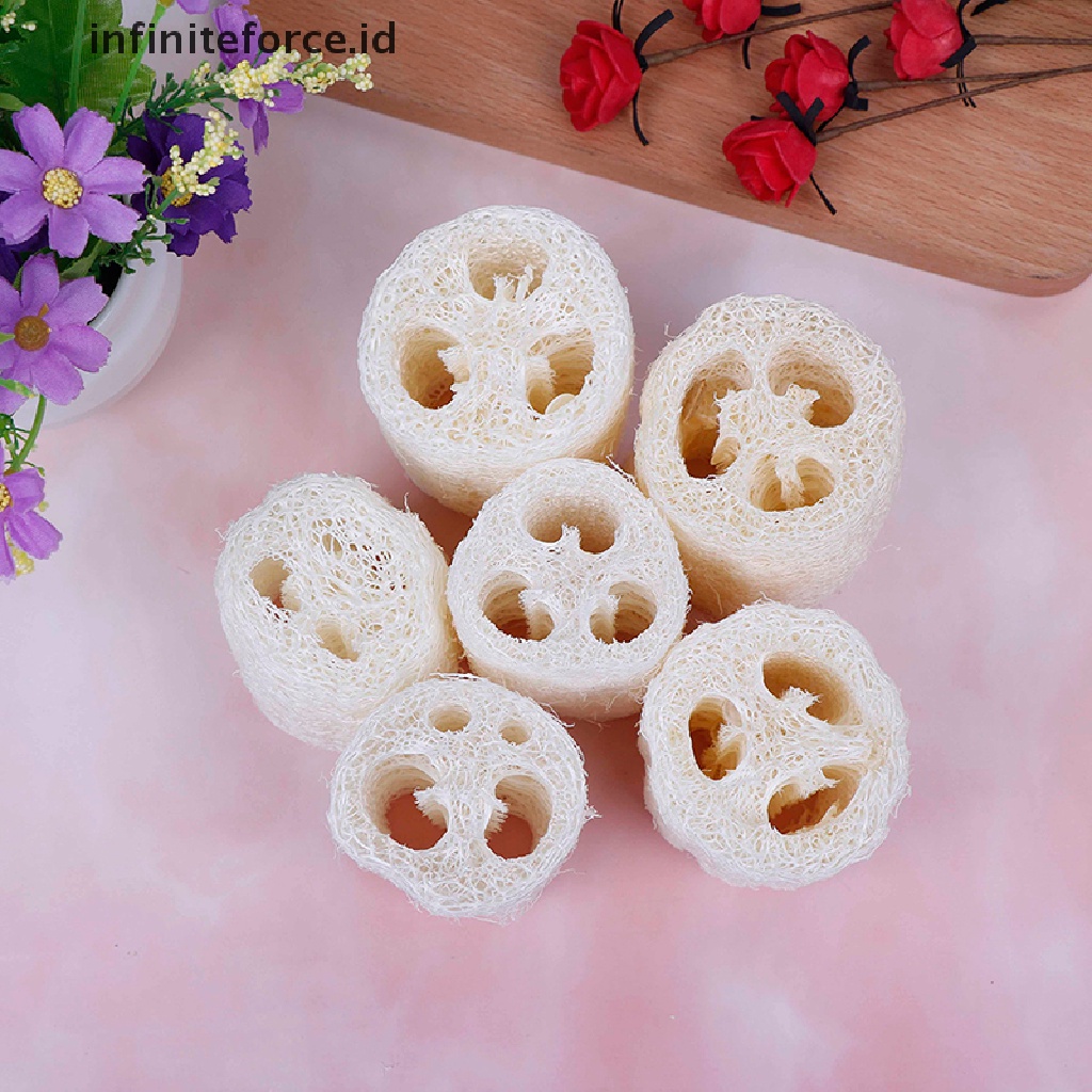 (infiniteforce.id) 6pcs / Set Spons Loofah Luffa Loofa Alami Untuk Mandi / Spa