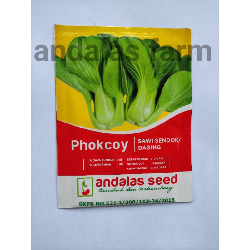Benih sawi PHOKCOY (sawi sendok/daging)