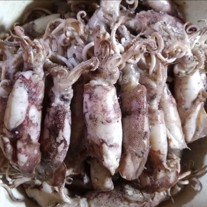 

Sontong cumi asin ukuran sedang super 500gr
