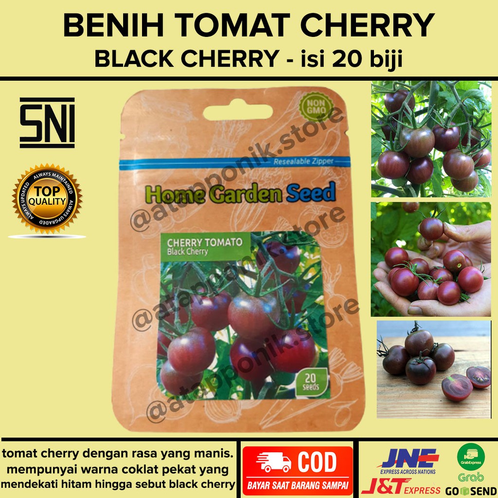 benih bibit tomat cherry black cherry isi 20 biji