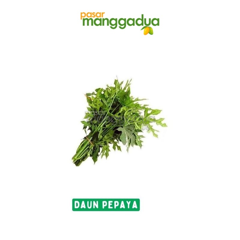 

FRESH !!! Daun Pepaya Per Ikat / Sayur Segar