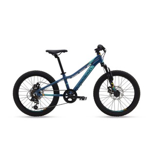  Sepeda Gunung Polygon Relic 20 Shopee Indonesia