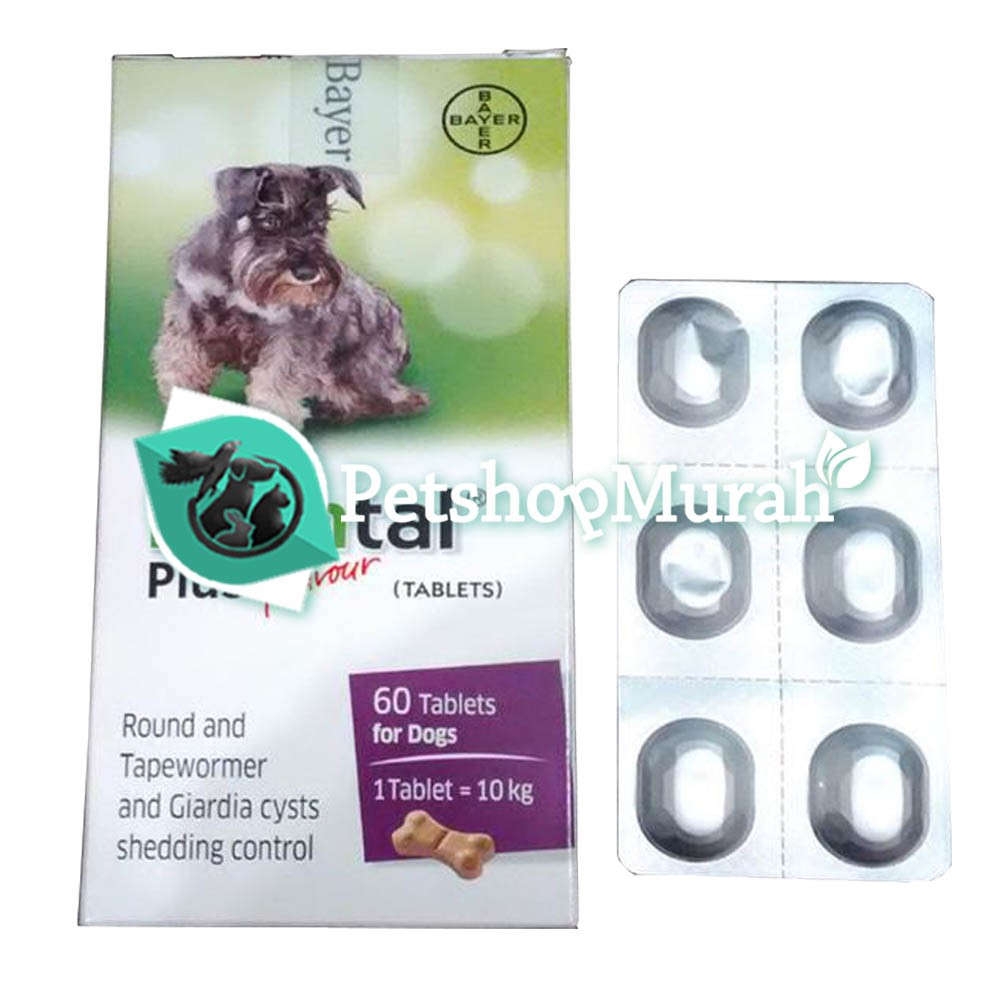 Obat Cacing Anjing - Drontal Dog Pertablet