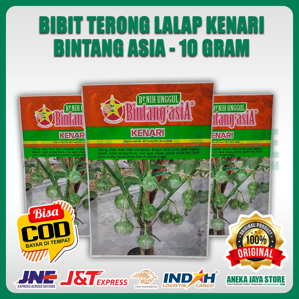 Bibit Terong Lalap Kenari Bintang Asia - 10Gr