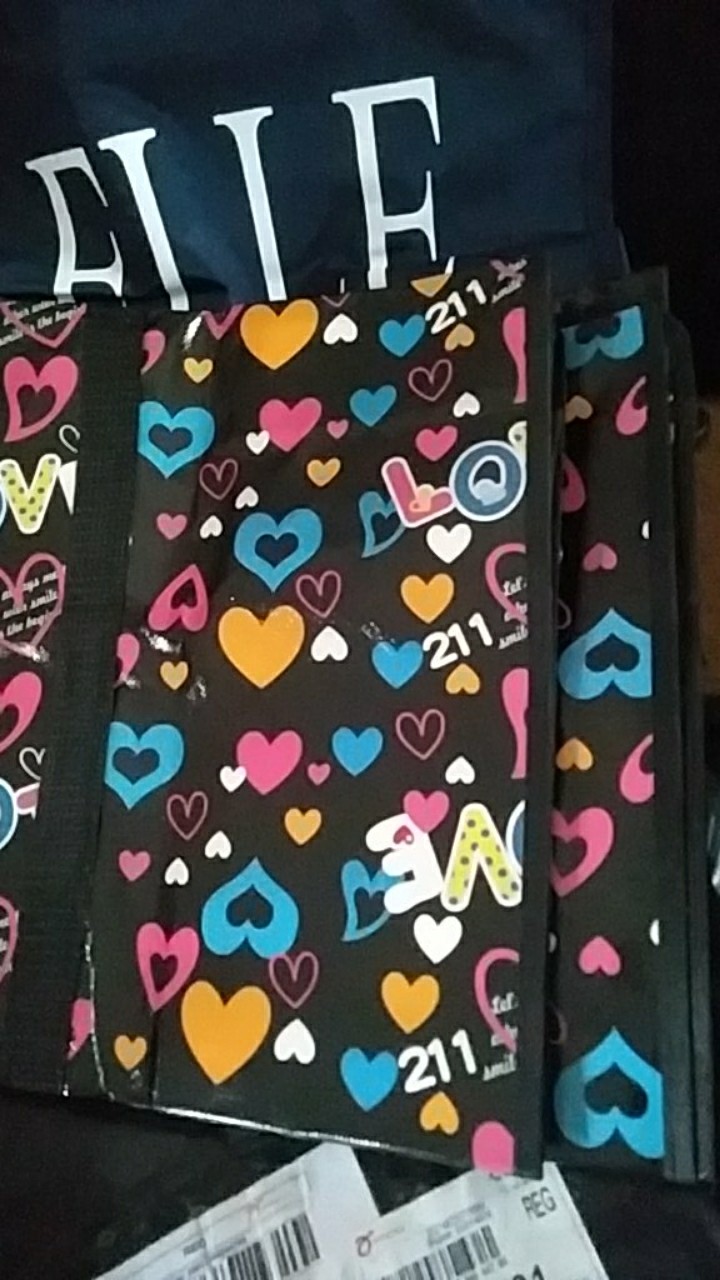 Tas Pasar Roda Tanggung Tinggi (54 × 42 X 24 ) Bisa Didorong Atau Ditarik.