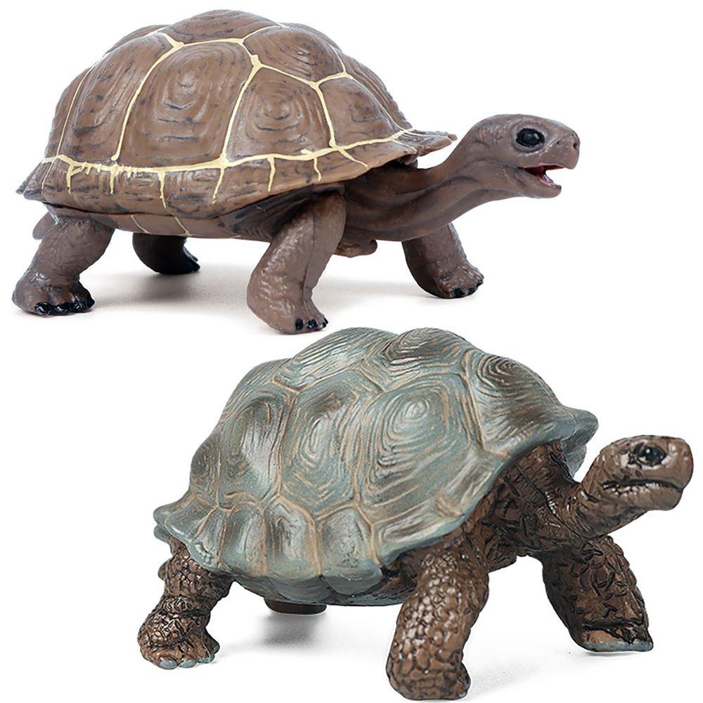 R-flower Mainan Edukasi Bentuk Kurakura Untuk Anak-Anak