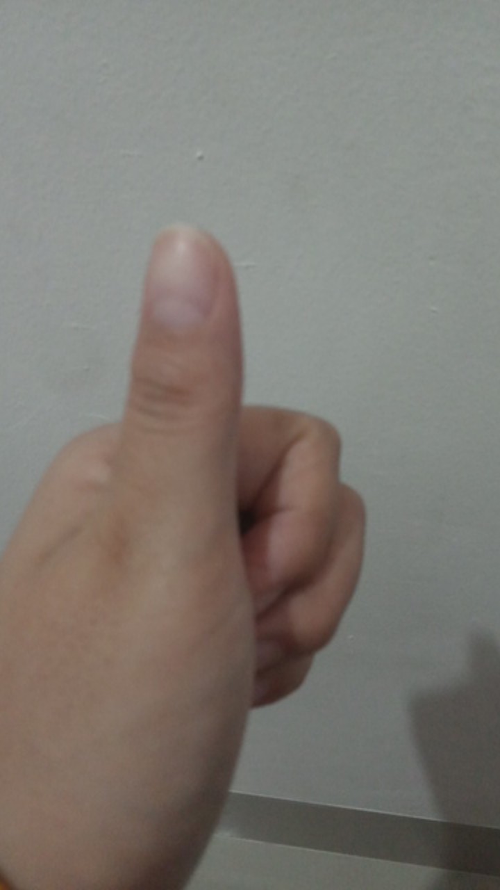 Adiguno Kemeja Batik Pria Full Furing Bahan Katun Primisima