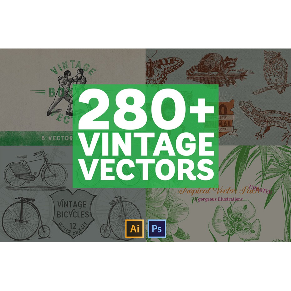 280+ Vintage Vectors Mega Bundle - Photoshop &amp; Illustrator