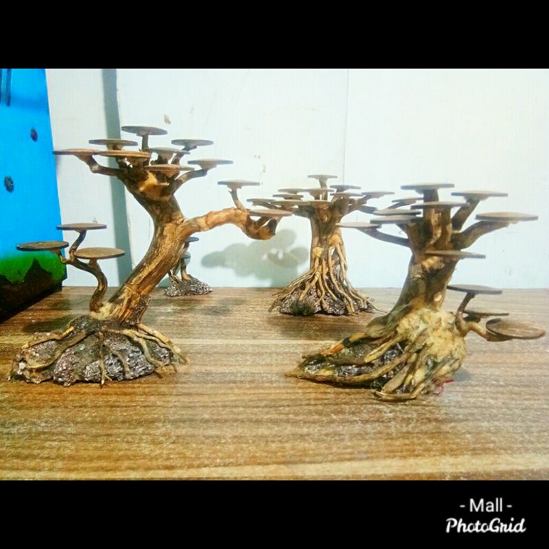 pohon bonsai aquascape spesial edition 1 paket 3 bonsai untuk aquascape ukuran 40cm-80cm sudah bonus