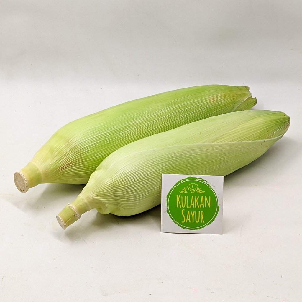 

Jagung Manis [1pc] - Kulakan Sayur