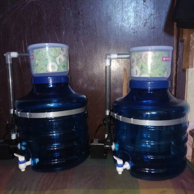 GALON SULING BIOGLASS 2+ / 2S